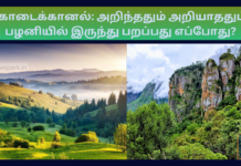 கொடைக்கானல்: அறிந்ததும் அறியாததும் – பழனியில் இருந்து பறப்பது எப்போது? Kodaikanal Consumer Park
