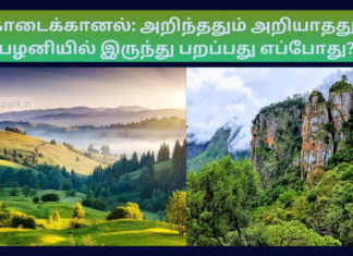 கொடைக்கானல்: அறிந்ததும் அறியாததும் – பழனியில் இருந்து பறப்பது எப்போது? Kodaikanal Consumer Park