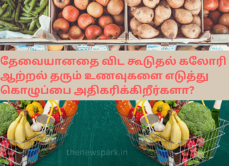 தேவையானதை விட கூடுதல் கலோரி ஆற்றல் தரும் உணவுகளை எடுத்து கொழுப்பை அதிகரிக்கிறீர்களா? Calorie calculation