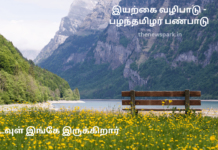 இயற்கை வழிபாடு – பழந்தமிழர் பண்பாடு Nature Worship Tamil Tradition