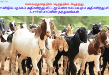 வலைத்தளத்தில் படித்ததில் பிடித்தது: 1. கறி சாப்பிடும் பழக்கம் அதிகரித்து விட்டது போல கலப்படமும் அதிகரித்து விட்டதா? 2. சார்லி சாப்ளின் தத்துவங்கள் increasing non veg food culture and adulteration