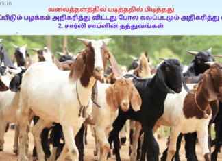 வலைத்தளத்தில் படித்ததில் பிடித்தது: 1. கறி சாப்பிடும் பழக்கம் அதிகரித்து விட்டது போல கலப்படமும் அதிகரித்து விட்டதா? 2. சார்லி சாப்ளின் தத்துவங்கள் increasing non veg food culture and adulteration