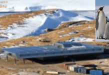 பூமியின் துருவங்களில் இவ்வளவு அதிசயங்களா? Antarctica Artic facts news park