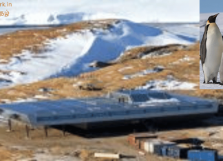 பூமியின் துருவங்களில் இவ்வளவு அதிசயங்களா? Antarctica Artic facts news park