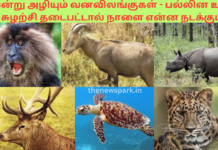 இன்று அழியும் வனவிலங்குகள் – பல்லின உயிர் சுழற்சி தடைபட்டால் நாளை என்ன நடக்கும்? Bio diversity red list rare animals