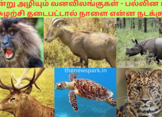 இன்று அழியும் வனவிலங்குகள் – பல்லின உயிர் சுழற்சி தடைபட்டால் நாளை என்ன நடக்கும்? Bio diversity red list rare animals