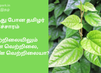 மறந்து போன தமிழர் கலாச்சாரம்: வெற்றிலையிலும் ஆண் வெற்றிலை, பெண் வெற்றிலையா? புறக்கணிப்போம் betel leaf tamil tradition