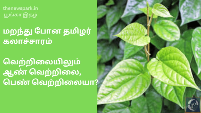 betel leaf tamil tradition