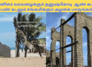 கண்ணீரை வரவழைக்கும் தனுஷ்கோடி – ஆண் கடலும் பெண் கடலும் சங்கமிக்கும் அழகை பாருங்கள் Dhunuskodi