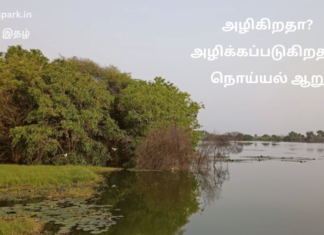 அழிகிறதா? அழிக்கப்படுகிறதா? நொய்யல் ஆறு save noyyal river