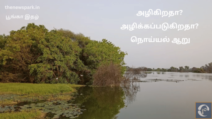 save noyyal river