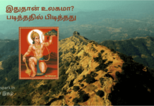 இதுதான் உலகமா? – படித்ததில் பிடித்தது art of auditing
