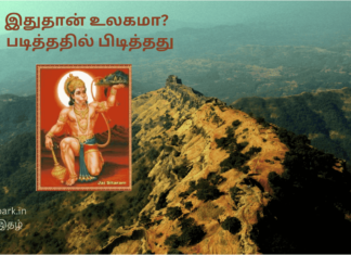 இதுதான் உலகமா? – படித்ததில் பிடித்தது art of auditing