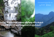 மேற்கு தொடர்ச்சி மலை குறித்த வியக்கும் சங்கதிகளை அறிந்து கொள்ளுங்கள்! western ghats important facts