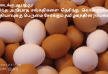 முட்டைக்கு ஆபத்து! அறிந்த அறியாத சங்கதிகளை தெரிந்து கொள்ளுங்கள்! இந்தியாவுக்கு பெருமை சேர்க்கும் தமிழகத்தின் நாமக்கல்! Egg Export