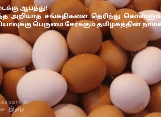 முட்டைக்கு ஆபத்து! அறிந்த அறியாத சங்கதிகளை தெரிந்து கொள்ளுங்கள்! இந்தியாவுக்கு பெருமை சேர்க்கும் தமிழகத்தின் நாமக்கல்! Egg Export