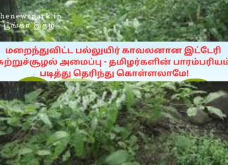 மறைந்துவிட்ட பல்லுயிர் காவலனான இட்டேரி சுற்றுச்சூழல் அமைப்பு – தமிழர்களின் பாரம்பரியம் – படித்து தெரிந்து கொள்ளலாமே! natural fencing at villages tamil nadu