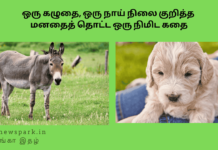 ஒரு கழுதை, ஒரு நாய் நிலை குறித்த மனதைத் தொட்ட ஒரு நிமிட கதை Theme: Know the reality, Image by “The News Park”
