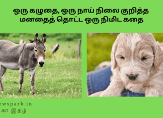 ஒரு கழுதை, ஒரு நாய் நிலை குறித்த மனதைத் தொட்ட ஒரு நிமிட கதை Theme: Know the reality, Image by “The News Park”