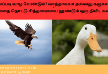நாம் எப்படி வாழ வேண்டும்? வாத்தாகவா அல்லது கழுகாகவா? – மனதை தொட்டு சிந்தனையை தூண்டும் ஒரு நிமிட கதைகள் இரண்டு Theme: wisdom wins, Image by “The News Park”