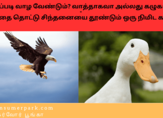 நாம் எப்படி வாழ வேண்டும்? வாத்தாகவா அல்லது கழுகாகவா? – மனதை தொட்டு சிந்தனையை தூண்டும் ஒரு நிமிட கதைகள் இரண்டு Theme: wisdom wins, Image by “The News Park”