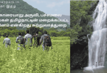 கோரையாறு அருவி, பச்சமலை மலைகள் தமிழ்நாட்டின் மறைக்கப்பட்ட ரத்தினம் என்கிறது சுற்றுலாத்துறை இணையதளம் Theme: Pachamalai-Koraiyaur falls, Image by “The News Park”