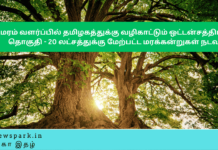 மரம்வளர்ப்பில் தமிழகத்துக்கு வழிகாட்டும் ஒட்டன்சத்திரம் தொகுதி – 20 லட்சத்துக்கு மேற்பட்ட மரக்கன்றுகள் நடவு Theme: Importance of tree plantation, Image by “The News Park”
