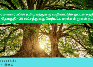 மரம்வளர்ப்பில் தமிழகத்துக்கு வழிகாட்டும் ஒட்டன்சத்திரம் தொகுதி – 20 லட்சத்துக்கு மேற்பட்ட மரக்கன்றுகள் நடவு Theme: Importance of tree plantation, Image by “The News Park”