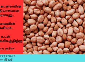 வேர்க்கடலையின் வித்தியாசமான வரலாறு.. சுவையின் ரகசியம்.. உடல் ஆரோக்கியத்திற்கு Theme: “Groundnut”, Image by “The News Park”
