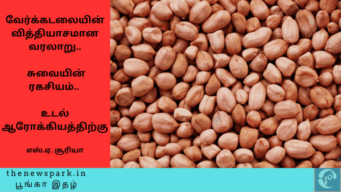 Theme: “Groundnut”, Image by “The News Park”