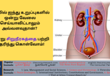 உடலில் ஐந்து உறுப்புகளில் ஒன்று வேலை செய்யாவிட்டாலும் அவ்வளவுதான்? இன்று சிறுநீரகத்தை பற்றி தெரிந்து கொள்வோம்! Theme: “importance of kidney”, Image by “The News Park”