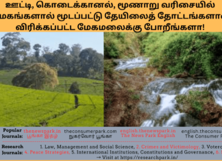 ஊட்டி, கொடைக்கானல், மூணாறு வரிசையில் மேகங்களால் மூடப்பட்டு தேயிலைத் தோட்டங்களால் விரிக்கப்பட்ட மேகமலைக்கு போறீங்களா! Theme: “Megamalai- gift of nature”, Image by “The News Park”