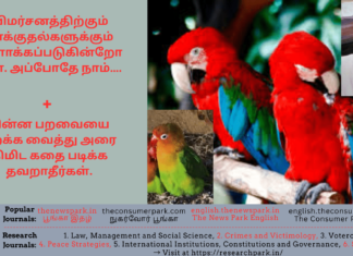 விமர்சனத்திற்கு ஆளாக்கப்படுகின்றோமோ. அப்போதே நாம்… + சின்ன பறவையை பறக்க வைத்த அரை நிமிட கதை படிக்க தவறாதீர்கள். Theme: “Criticism are steps to success”, Image by “The News Park”