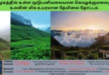தமிழகத்தில் உள்ள மூடுபனிமலையான கொழுக்குமலைதான் உலகின் மிக உயரமான தேயிலை தோட்டம். Theme: Kolukkumalai- hill station – trekking. Image by “The News Park”