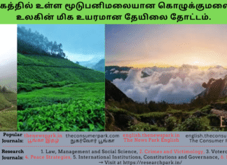 தமிழகத்தில் உள்ள மூடுபனிமலையான கொழுக்குமலைதான் உலகின் மிக உயரமான தேயிலை தோட்டம். Theme: Kolukkumalai- hill station – trekking. Image by “The News Park”