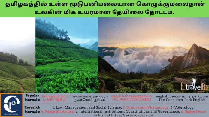 Theme: Kolukkumalai- hill station – trekking. Image by “The News Park”