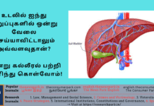 மதுவின் எதிரியான கல்லீரல் பற்றி தெரிந்து கொள்வோம்! கல்லீரல் வேலை செய்யாவிட்டால் அவ்வளவுதான்! Theme: Importance of Liver, Image by “The News Park”