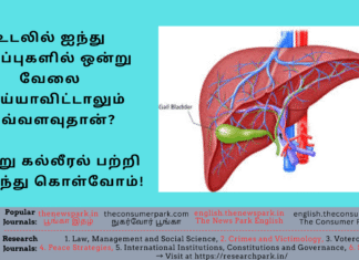 மதுவின் எதிரியான கல்லீரல் பற்றி தெரிந்து கொள்வோம்! கல்லீரல் வேலை செய்யாவிட்டால் அவ்வளவுதான்! Theme: Importance of Liver, Image by “The News Park”