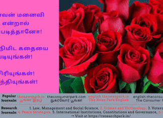 கணவன் மனைவி என்றால் இப்படித்தானோ! ஒரு நிமிட கதையை படியுங்கள்! சிரியுங்கள்! சிந்தியுங்கள்! Theme: Husband Wife understanding, Image by “The News Park”