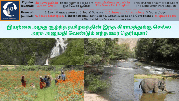 Theme: Thengumaragada, Image by “The News Park”
